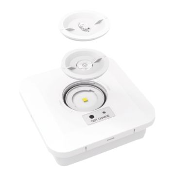 Emergency Surface Downlight - Square